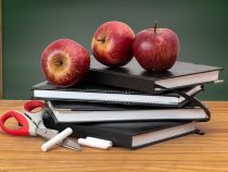Badania przesiewowe w szkołach – diagnoza problemów wychowawczych